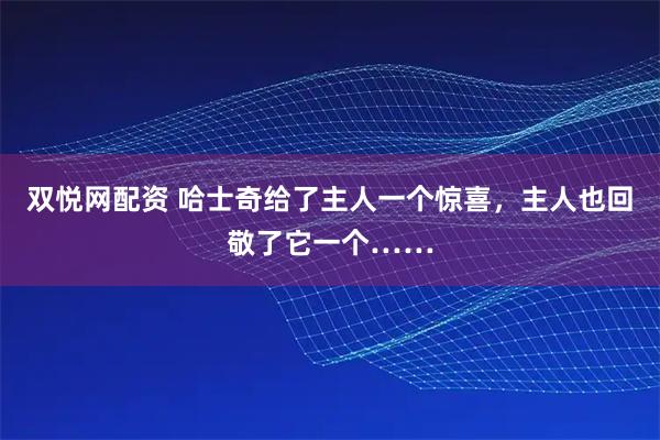 双悦网配资 哈士奇给了主人一个惊喜，主人也回敬了它一个……