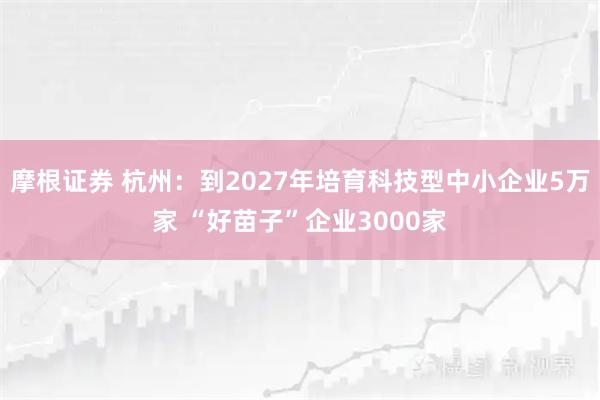 摩根证券 杭州：到2027年培育科技型中小企业5万家 “好苗子”企业3000家
