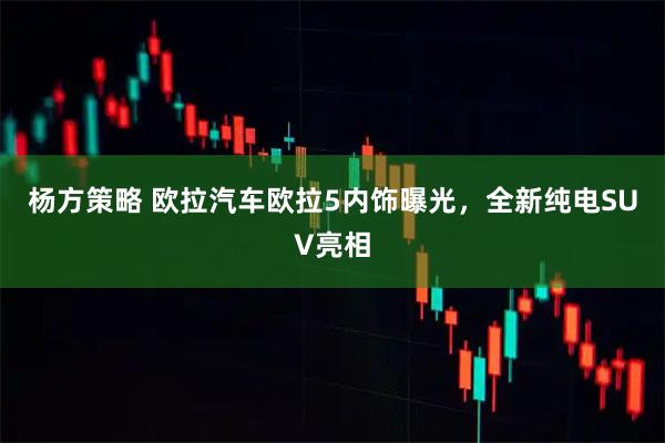 杨方策略 欧拉汽车欧拉5内饰曝光，全新纯电SUV亮相